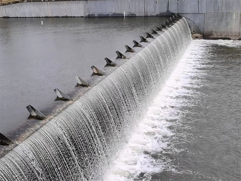 閘門廠家——揚州楚門機電設備制造有限公司